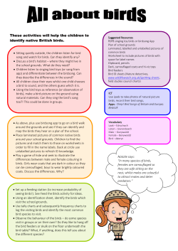 Mini beast hunt - Outdoor Learning Wales