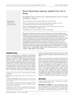 Novel Neosartorya species isolated from soil in Korea