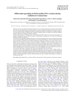 Differential spreading of HinfI satellite DNA