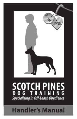 Scotch Pines Dog Training