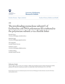 The proofreading exonuclease subunit E of Escherichia coli DNA