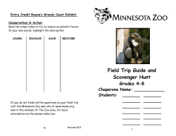 Scavenger Hunt Grades 4-8
