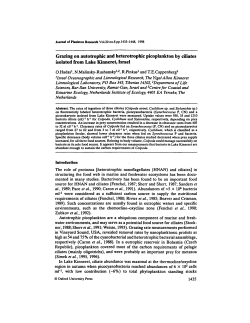 Grazing on autotrophic and heterotrophic