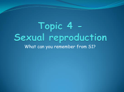 Topic 4 - Sexual reproduction