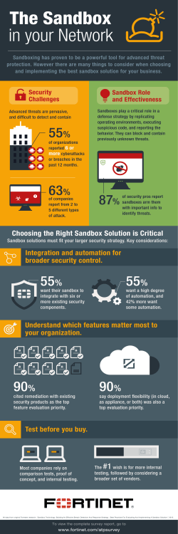The Sandbox in Your Network