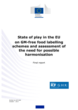 Final report - European Commission