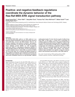 Positive- and negative-feedback regulations