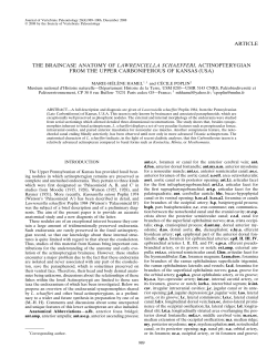 4MB PDF - SynapseWeb