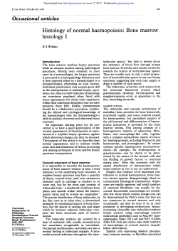 Bone marrow histology I - Journal of Clinical Pathology