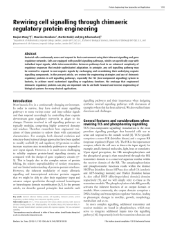 Rewiring cell signalling through chimaeric regulatory protein