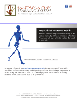 Arthritis Lesson PBL(Shared by Anatomy in Clay Free with