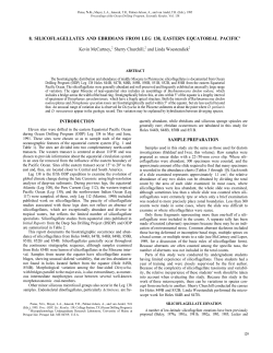 Silicoflagellates and Ebridians from Leg 138, Eastern Equatorial