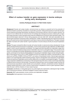 Effect of nucleus transfer on gene expression in bovine