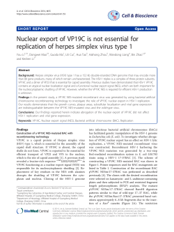 Nuclear export of VP19C is not essential for replication of herpes