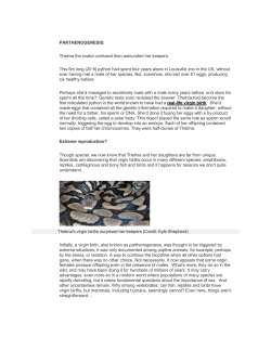 PARTHENOGENESIS: Thelma the snake confused then astounded