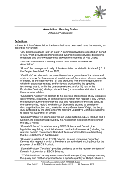 ARTICLES OF ASSOCIATION (English translation)