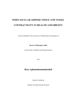 PERIVASCULAR ADIPOSE TISSUE AND VESSEL