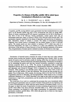 Properties of a Mutant of Bacillus subtilis 168 in which