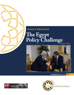 The Egypt Policy Challenge
