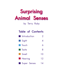 Surprising Animal Senses - Emphasis on Design 2015