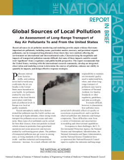 Global Sources of Local Pollution