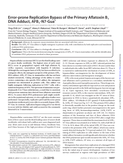 Error-prone Replication Bypass of the Primary Aflatoxin B1 DNA