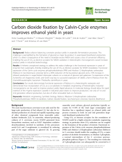 Carbon dioxide fixation by Calvin-Cycle enzymes improves ethanol