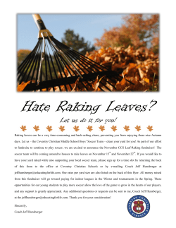 Leaf Raking Flyer 2014.