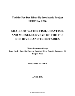 shallow water fish, crayfish, and mussel surveys of the pee dee river
