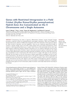 Gryllus firmus/Gryllus pennsylvanicus