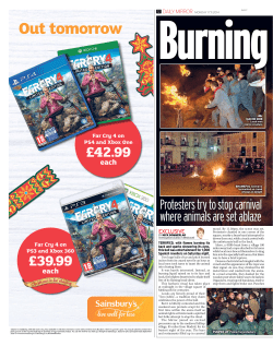 Burning of the bulls