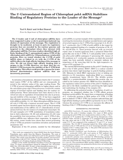 The 3 -Untranslated Region of Chloroplast psbA mRNA Stabilizes