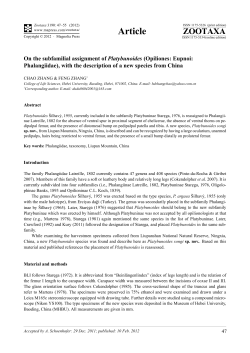 On the subfamilial assignment of Platybunoides