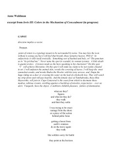 excerpt from &ldquo;Iovis III: Colors in the Mechanism of Concealment&rdquo;
