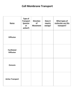 Cell Membrane and Transport Review