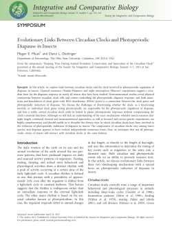 Evolutionary Links Between Circadian Clocks and Photoperiodic