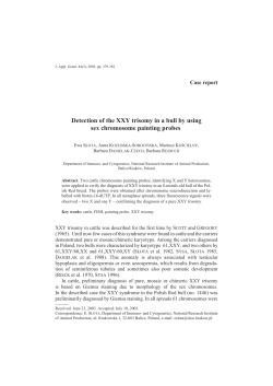 Detection of the XXY trisomy in a bull by using sex chromosome