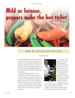 Mild or Intense, peppers make the hot ticket