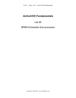 BPMN Embedded Sub-processes