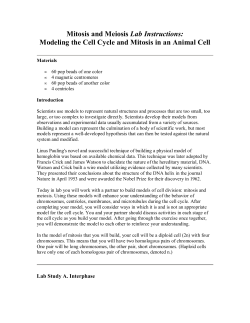 Mitosis and Meiosis Lab Instructions: Modeling the Cell