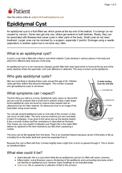 Epididymal Cyst