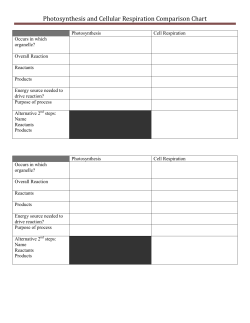 Photosynthesis and Cellular Respiration Comparison