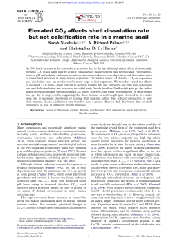 Elevated CO2 affects shell dissolution rate but not calcification rate