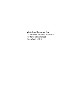 Mastellone Hermanos SA Consolidated Financial Statements for the