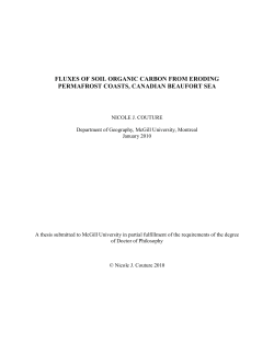 fluxes of soil organic carbon from eroding