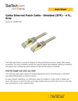 Cat6a Ethernet Patch Cable - Shielded (STP) - 4 ft., Gray