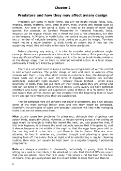 Predators and how they may affect aviary design