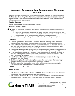 Lesson 4: Explaining How Decomposers Move and Function
