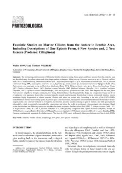 Faunistic Studies on Marine Ciliates from the Antarctic Benthic Area