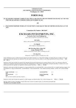 excelsis investments, inc. - Stealth Technologies, Inc.